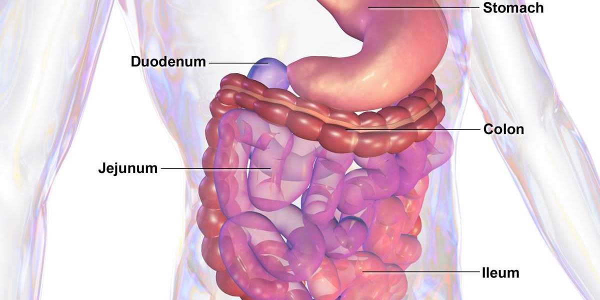 What are the best treatment options for parasitic infections?