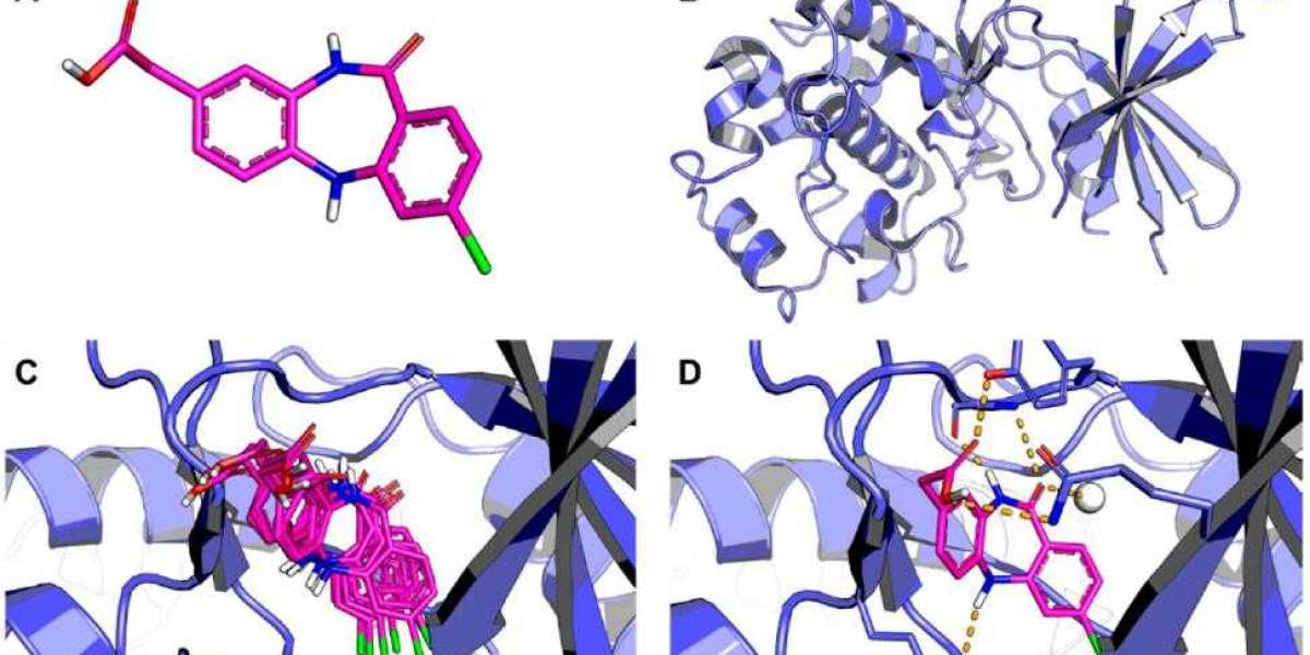 Principles, Processes and Types of Molecular Docking