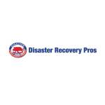 Disaster Recovery Pros Profile Picture