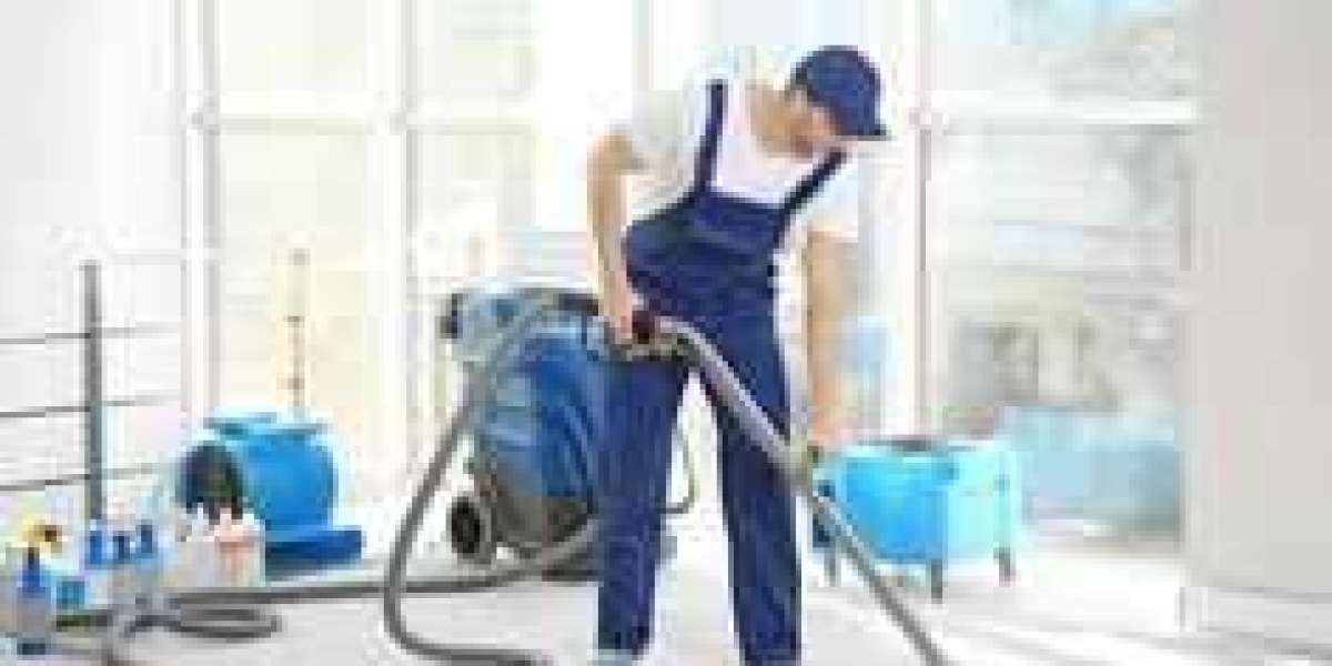 Professional Carpet Cleaning: Enhancing Your Home’s