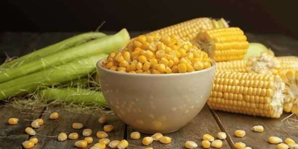 Maize Processing Plant Cost and Requirements Report to Setting up an Unit | By IMARC Group