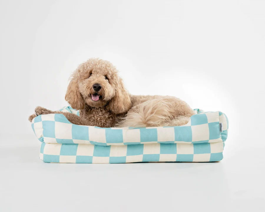 Orthopedic Dog Beds: The Ultimate Comfort for Your Furry Friend