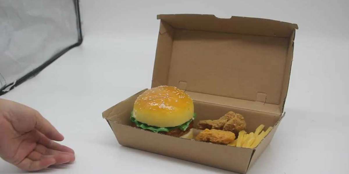 From Paper to Perfection: The Evolution of Burger Boxes in Canada