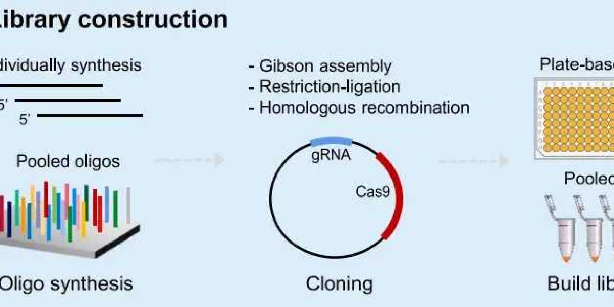 Workflow of CRISPR Screening Technology