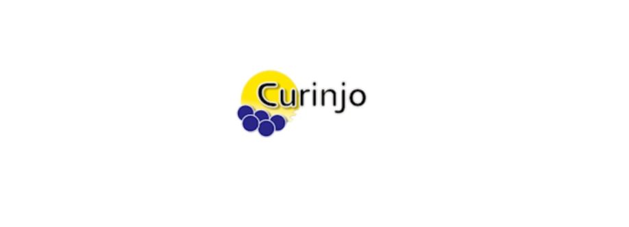 Curinjo Apartmenten resort Cover Image