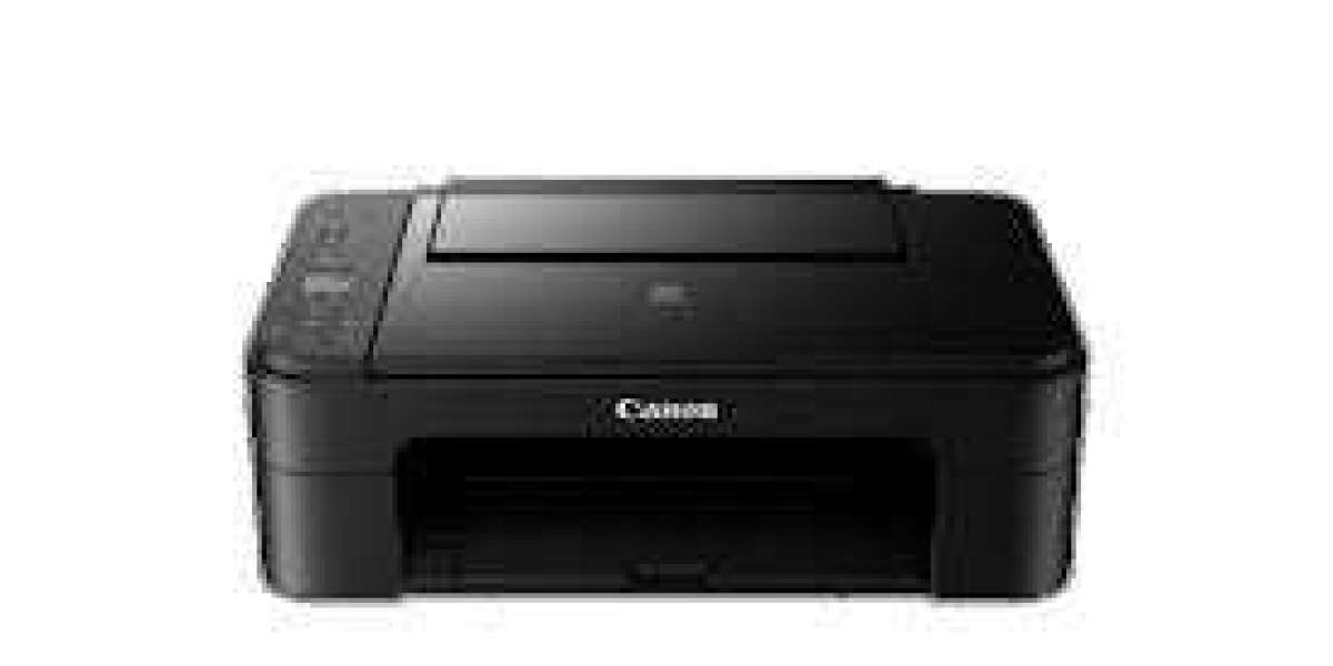 How to Fix a Canon Printer in Error State on Windows 11: Step-by-Step Guide