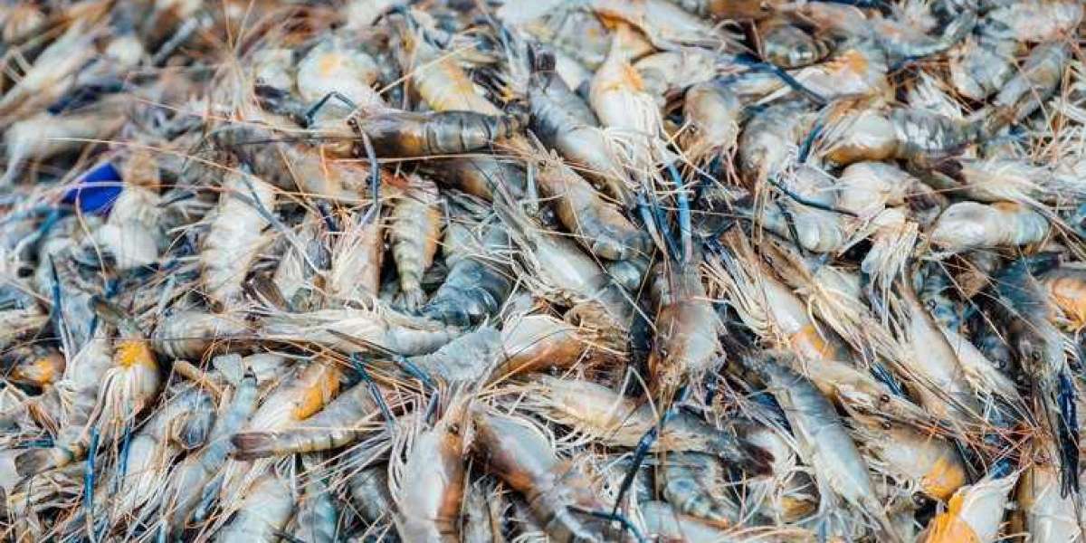 Prawn Market Report 2024-2032: Scope, Trends, Growth, Demand, Analysis and Outlook