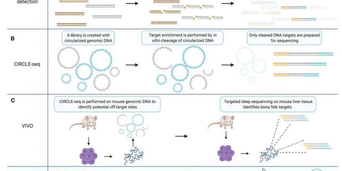 Comprehensive Review of Circle Sequencing