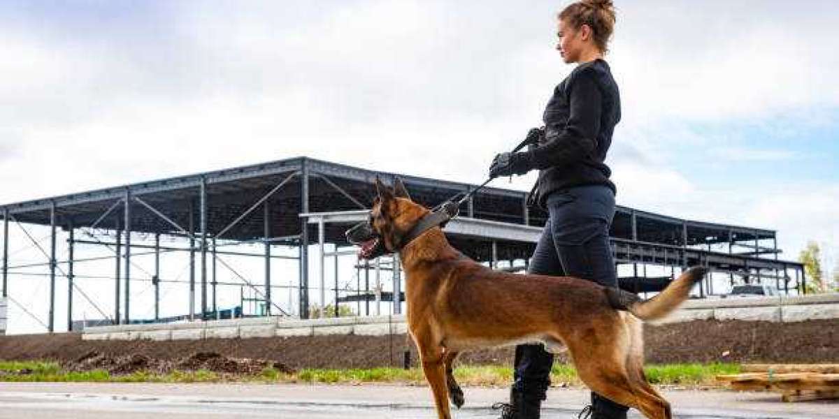 Security dogs in London with Professional Security Dog Services