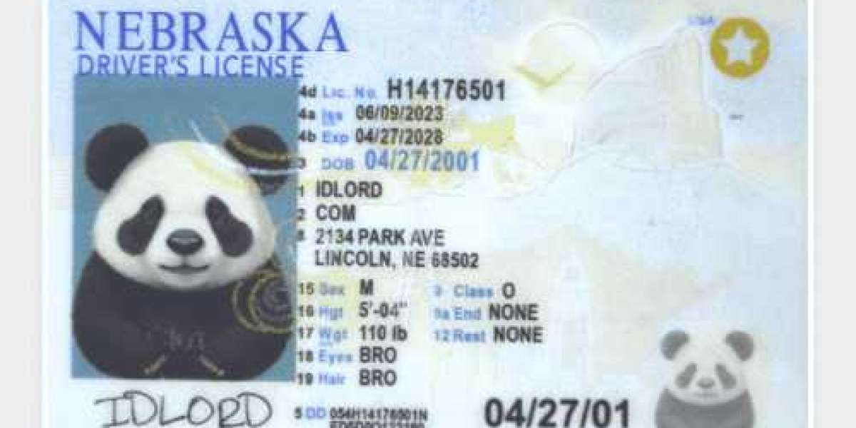 Unlocking the Secrets of Fake IDs in Las Vegas What You Need to Know