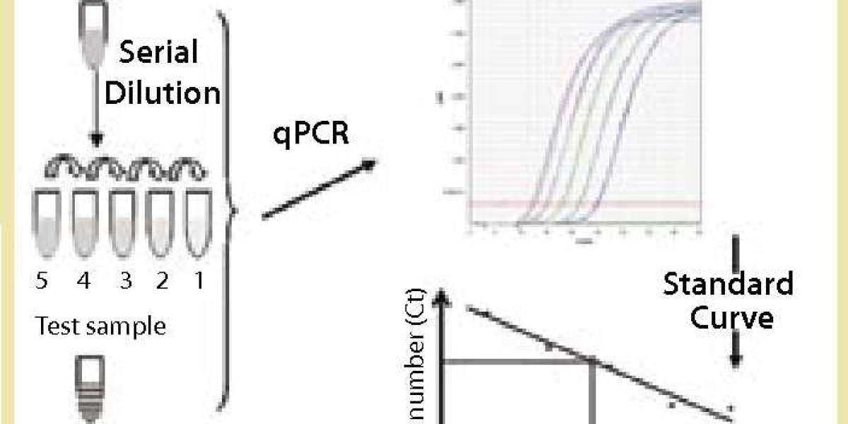 Mammalian DNA Residue Assay Kits (qPCR) for Enhanced Biopharmaceutical Research